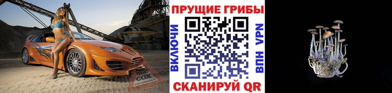 Купить  Стрежевой  Галлюциногенные грибы прущие грибы 